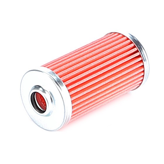 3608255M1- Fuel filter element - Massey Ferguson