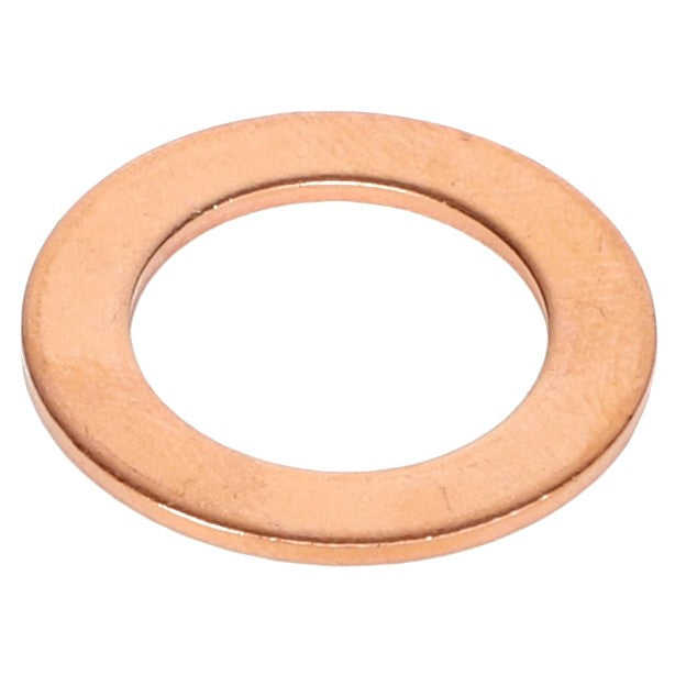 7064184M1 GASKET