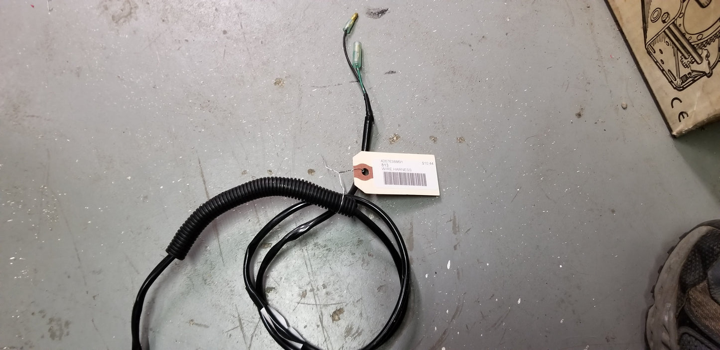 Wiring Harness for Worklight - 4267638M91 - Massey Ferguson