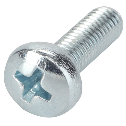 3001163X1 SCREW