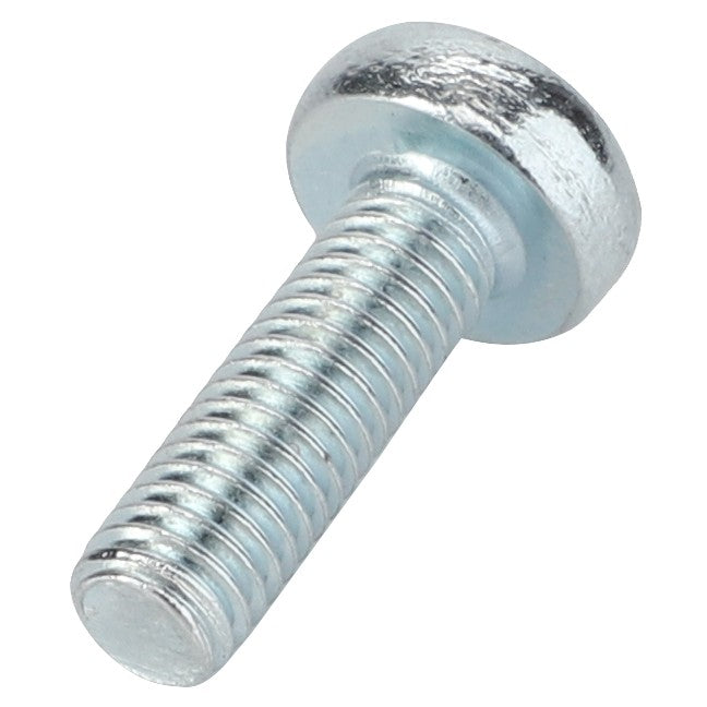 3001163X1 SCREW