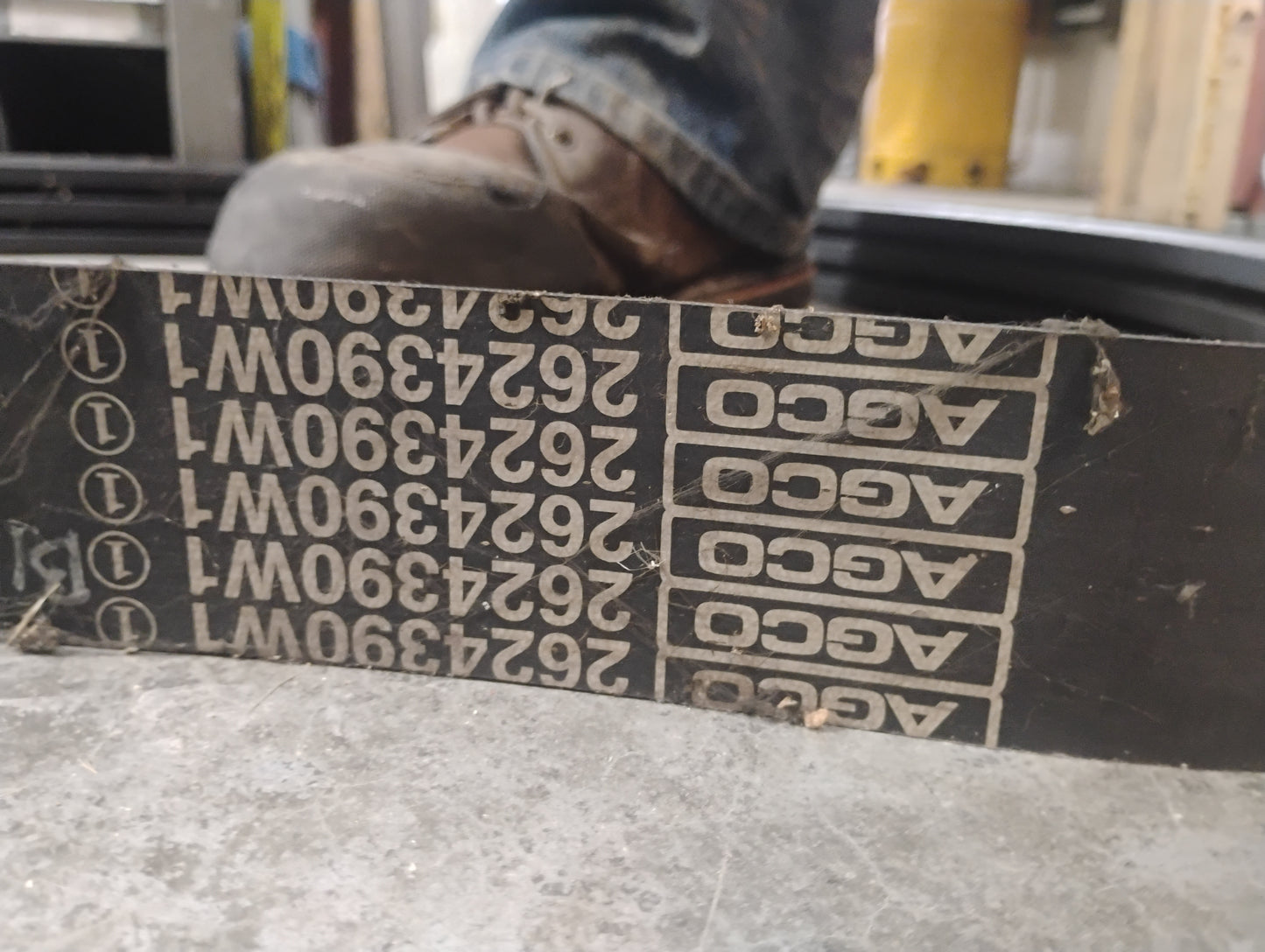 2624390W1   BELT