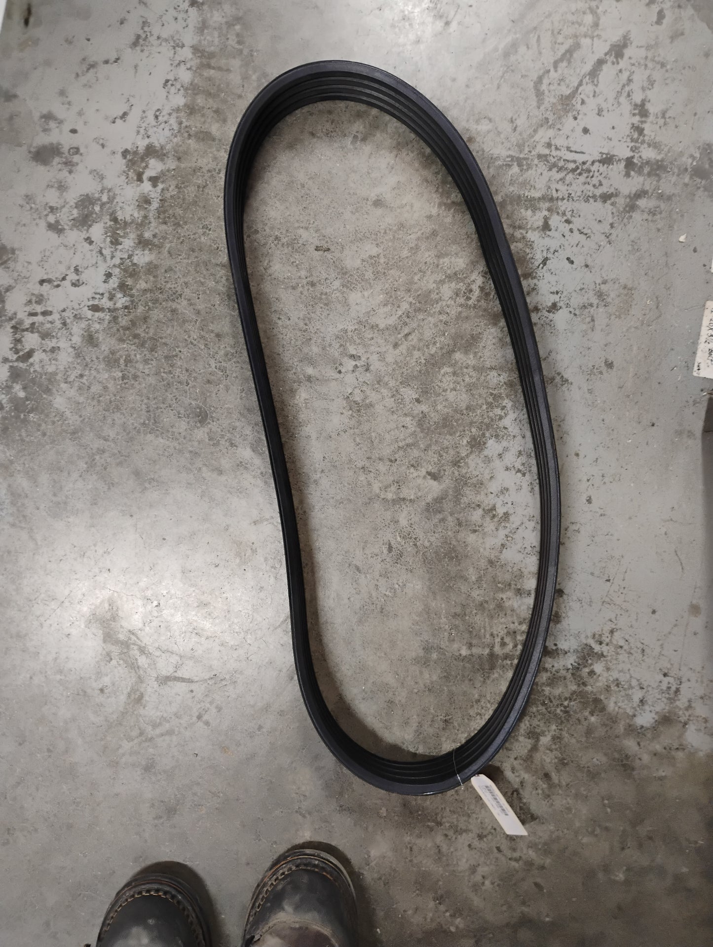 700733473 BELT