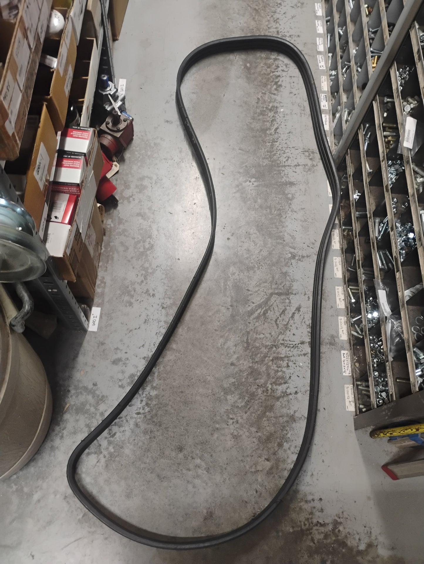 2624390W1   BELT
