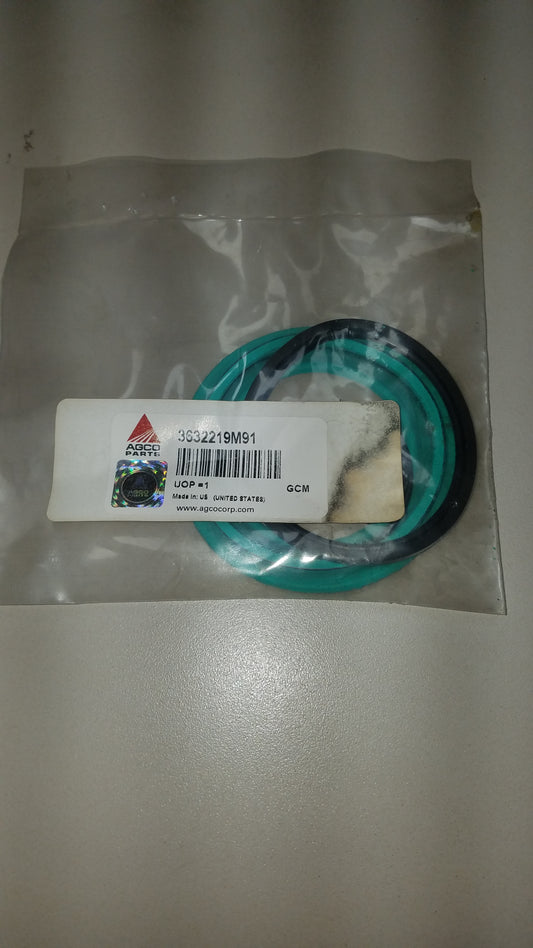 3632219M91   SEALS KIT