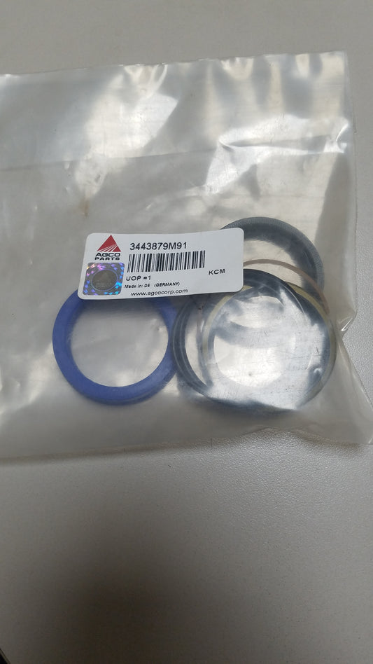 3443879M91 Seal Kit MF 236 Loader - Lift